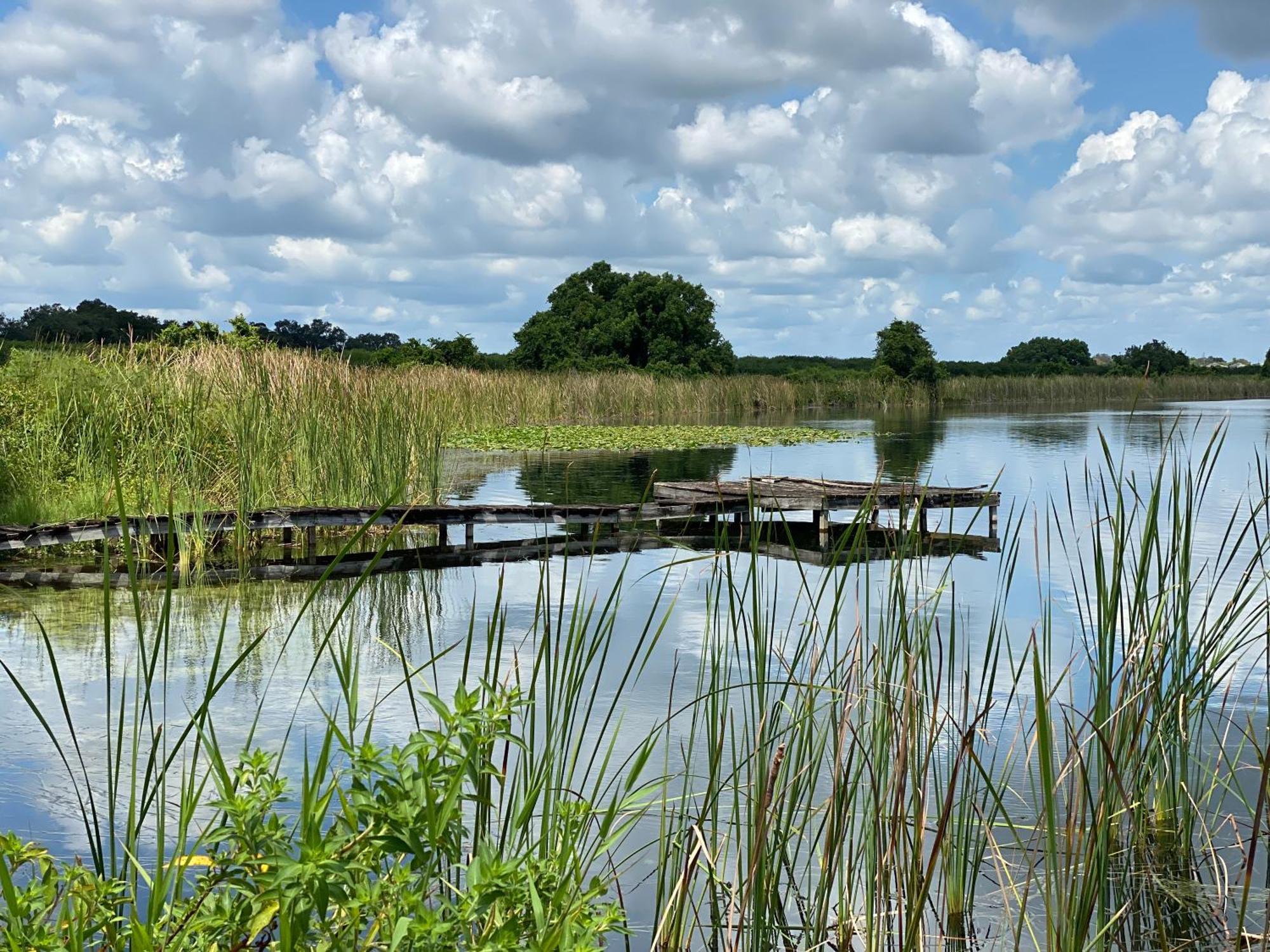 The Scandinavian Contemporary Blauw Lake Alfred